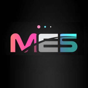 MES